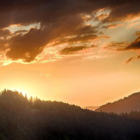Gostilna Pension Blegos Поляне-над-Шкофьё-Локо Экстерьер фото