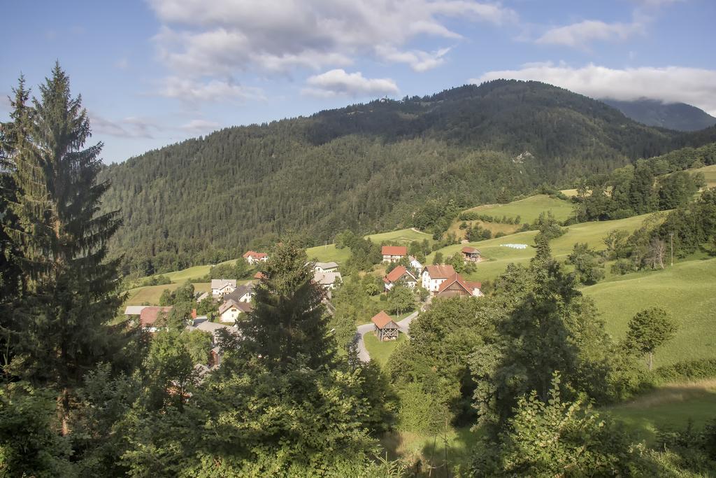 Gostilna Pension Blegos Поляне-над-Шкофьё-Локо Экстерьер фото