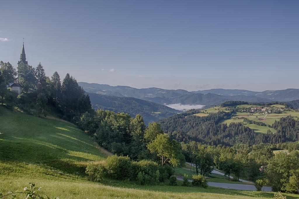 Gostilna Pension Blegos Поляне-над-Шкофьё-Локо Экстерьер фото