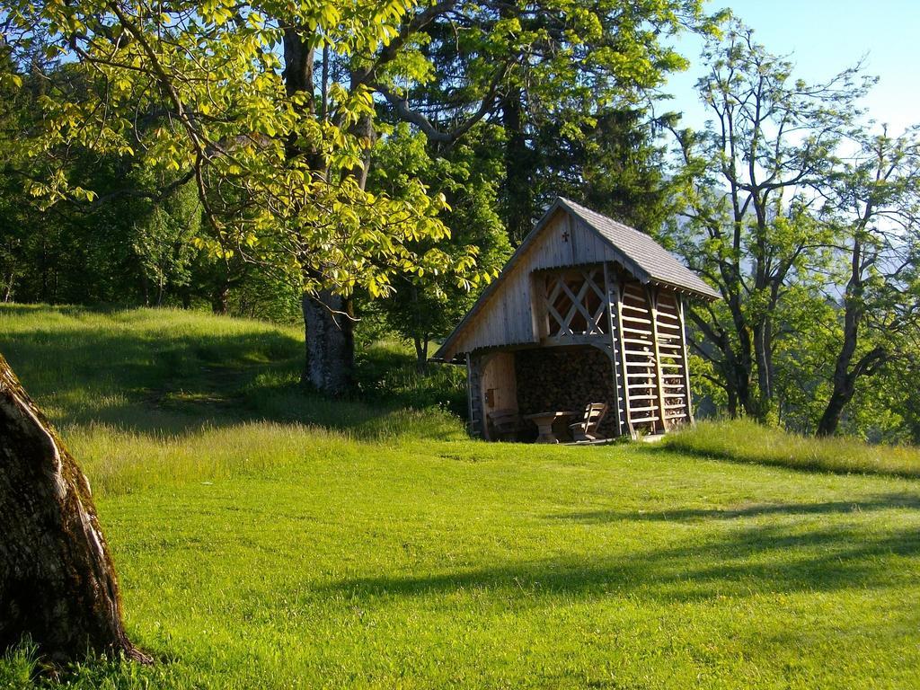 Gostilna Pension Blegos Поляне-над-Шкофьё-Локо Экстерьер фото