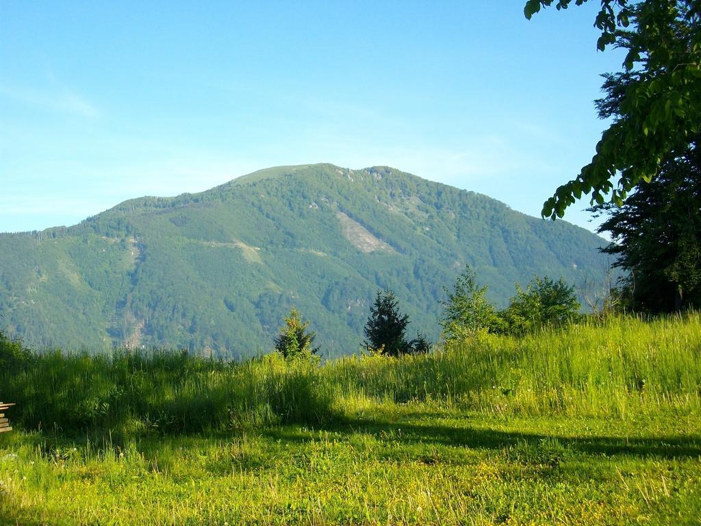 Gostilna Pension Blegos Поляне-над-Шкофьё-Локо Экстерьер фото